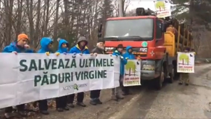 Activiștii de mediu blochează camioanele cu lemne din munții Făgăraș