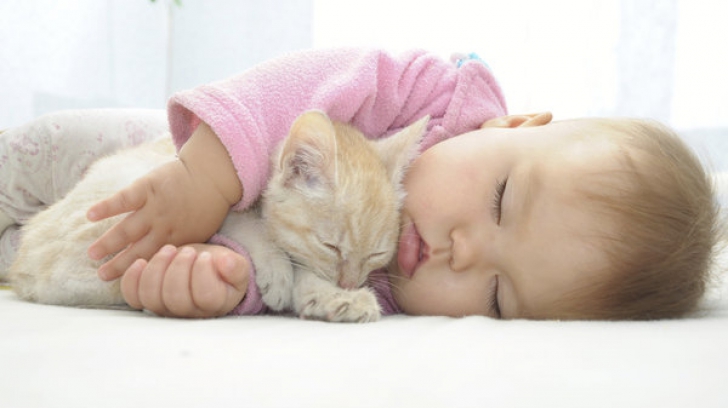 Și ei sunt copii! Pui de animale țin companie copiilor în timpul somnului. Imagini emoționante