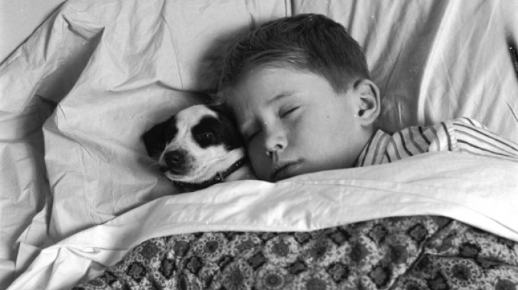 Și ei sunt copii! Pui de animale țin companie copiilor în timpul somnului. Imagini emoționante