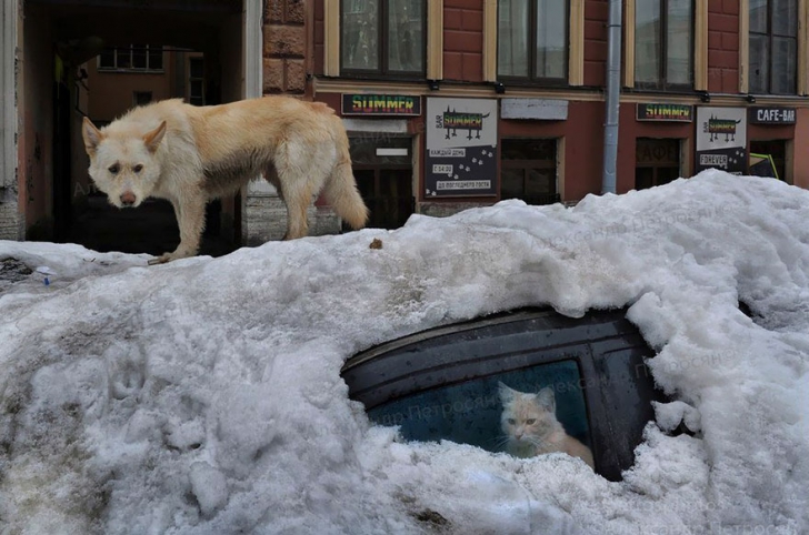 Foto: Alexander Petrosyan