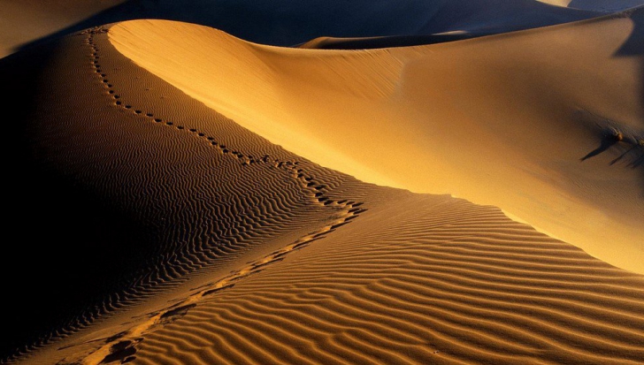 Descoperire incredibilă! Oamenii au creat deșertul Sahara. Cum a fost posibil
