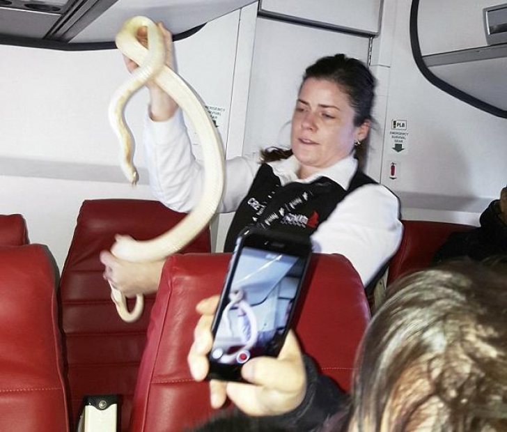 Panică printre pasagerii unui avion! Descoperirea şocantă a unui copil chiar în timpul zborului