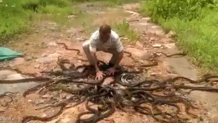 A răsturnat sacul cu şerpi