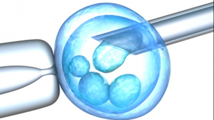 Totul despre fertilizarea in vitro - când medicina e la granița dintre știință și Dumnezeu