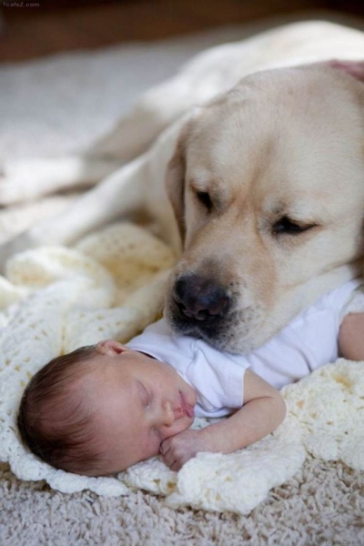 Relația dintre copii și animale de companie, în imagini! Fotografii emoționante