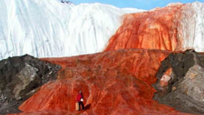 Misterul „sângeros” al Antarcticii a fost ELUCIDAT după mai bine de un secol de la descoperire