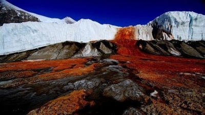 Misterul „sângeros” al Antarcticii a fost ELUCIDAT după mai bine de un secol de la descoperire