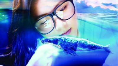 Un criminalist rom&acirc;n a găsit soluția să oprească jocul "Balena Albastră"