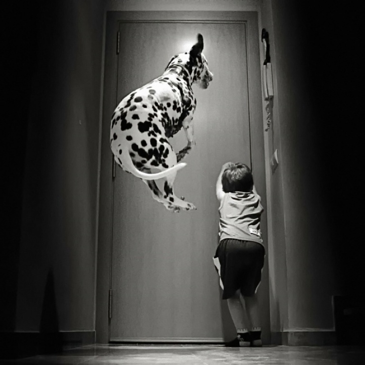 Relația dintre copii și animale de companie, în imagini! Fotografii emoționante
