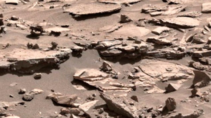 Conspiraționștii sunt în extaz! A fost văzută o CREATURĂ păroasă pe Marte. ”Dovada” foto