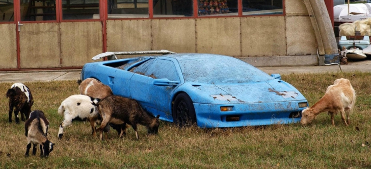 Au găsit un Lamborghini pe un câmp. Au vrut să-l ia, dar ce au văzut înăuntru i-a făcut să FUGĂ