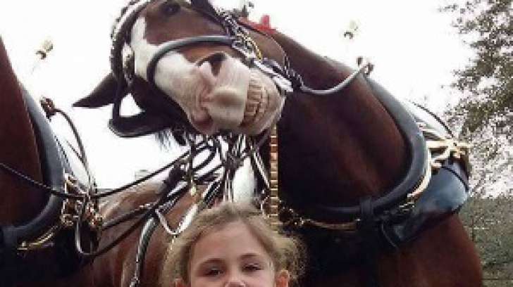 Fetița a vrut o poză cu un cal. Când au văzut fotografia, au murit de râs
