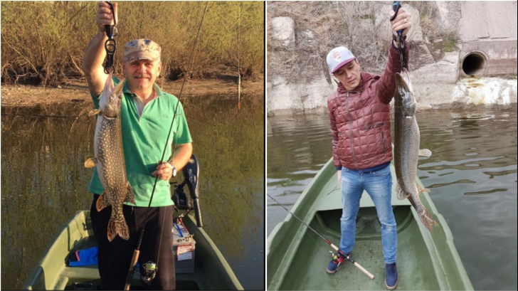 Guvernatorul Deltei, despre ,,capturile'' lui Dragnea și Grindeanu: Ar fi putut să le dea drumul...