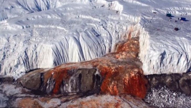 Misterul „sângeros” al Antarcticii a fost ELUCIDAT după mai bine de un secol de la descoperire