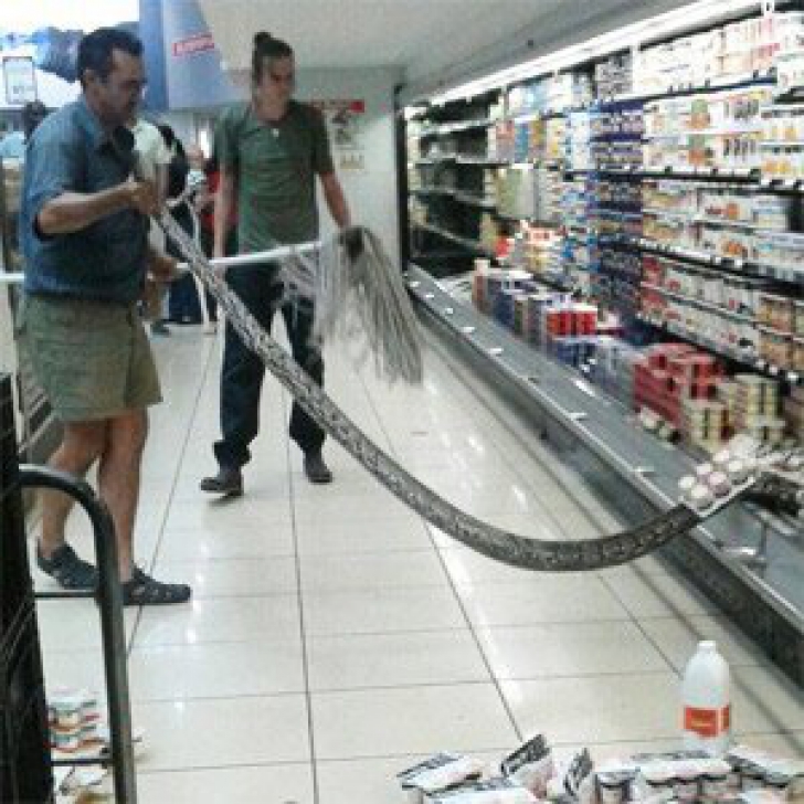Un supermarket s-a închis după o descoperire șocantă. Ce a găsit un client în spatele produselor