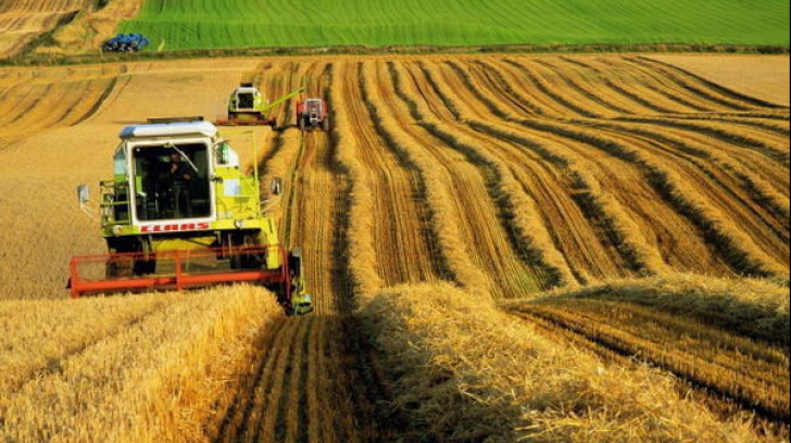 România, unul dintre producătorii importanți de cereale din UE! Loc fruntaș pentru țara noastră