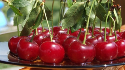 Beneficiile neştiute ale consumului de vişine! Sunt aur pentru organism