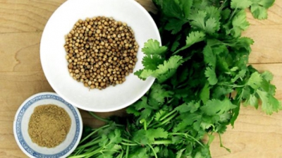 Coriandrul. Cinci beneficii pentru sănătate