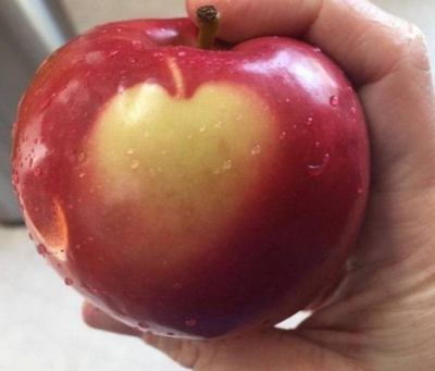 A cumpărat un kilogram de mere roşii, dar unul era special! Ce a apărut pe coaja fructului