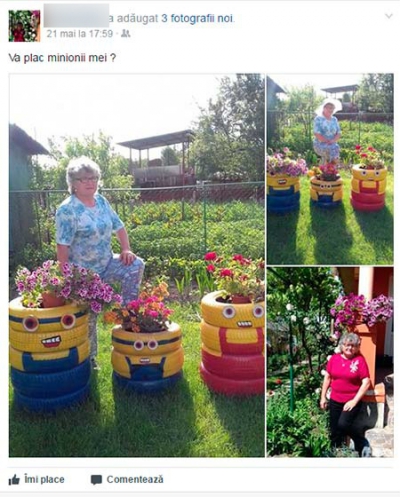 Ideea genială a unei femei din Târgu Jiu - grădină de vis cu bani puţini