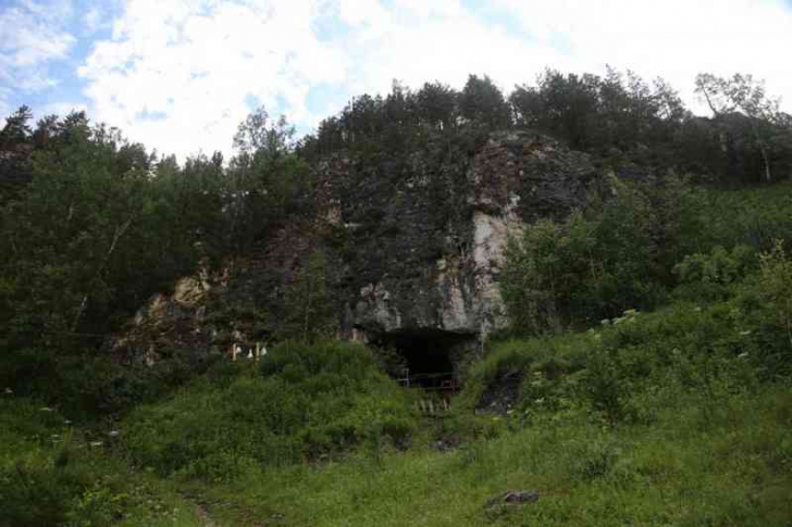 Ruşii au găsit o peşteră în Munţii Altai.Au intrat, au descoperit-o..ŞOCANT!Îi aştepta de 40.000 ani