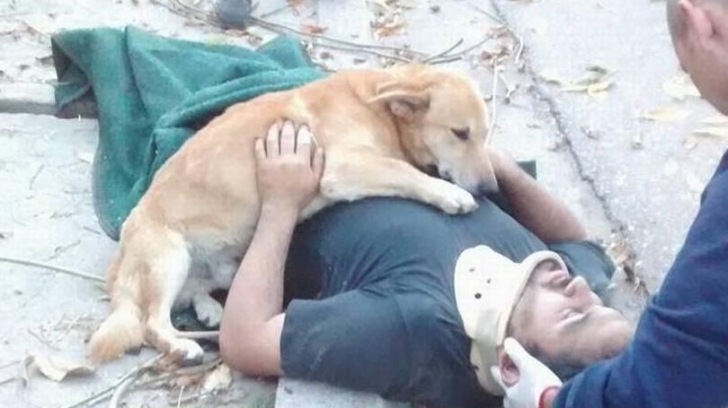 A căzut dintr-un copac, iar paramedicii au încremenit când au venit să-l salveze. Ce s-a întâmplat