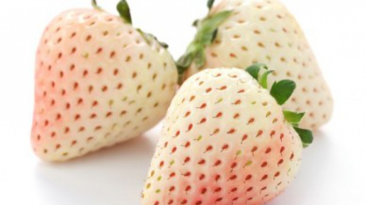Căpșunile albe sunt un MIRACOL pentru sănătate! Ce gust au și ce conțin