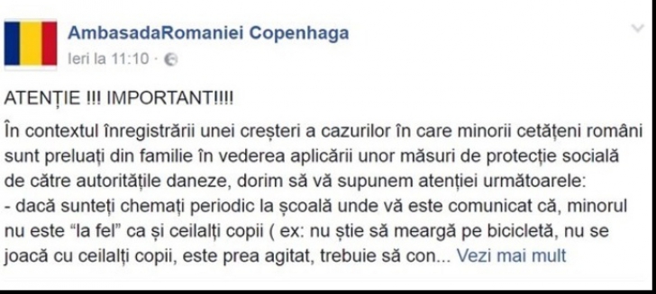 Românii din Danemarca, avertizaţi de Secţia Consulară.Semnele că autorităţile vor să le preia copiii