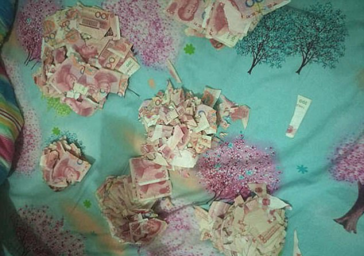 Un copil de 5 ani a distrus bancnote în valoare de 6.500 de euro, după ce a fost lăsat singur acasă