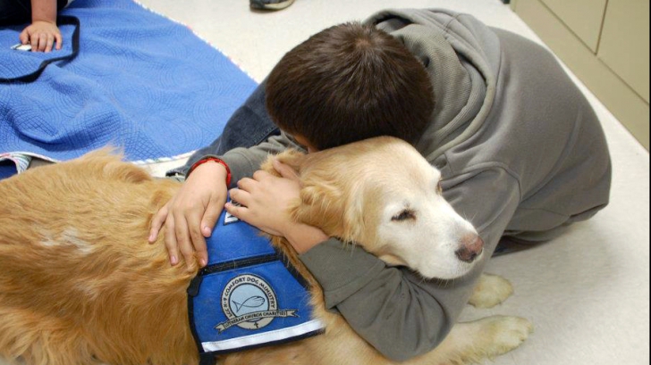 Terapia asistată de câini vagabonzi. Azi, despre copii și vârstnici