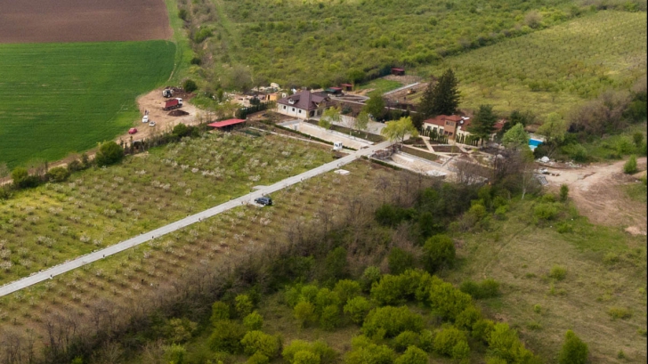 Tel Drum, cele 200 de terenuri din portofoliu și legăturile cu Liviu Dragnea