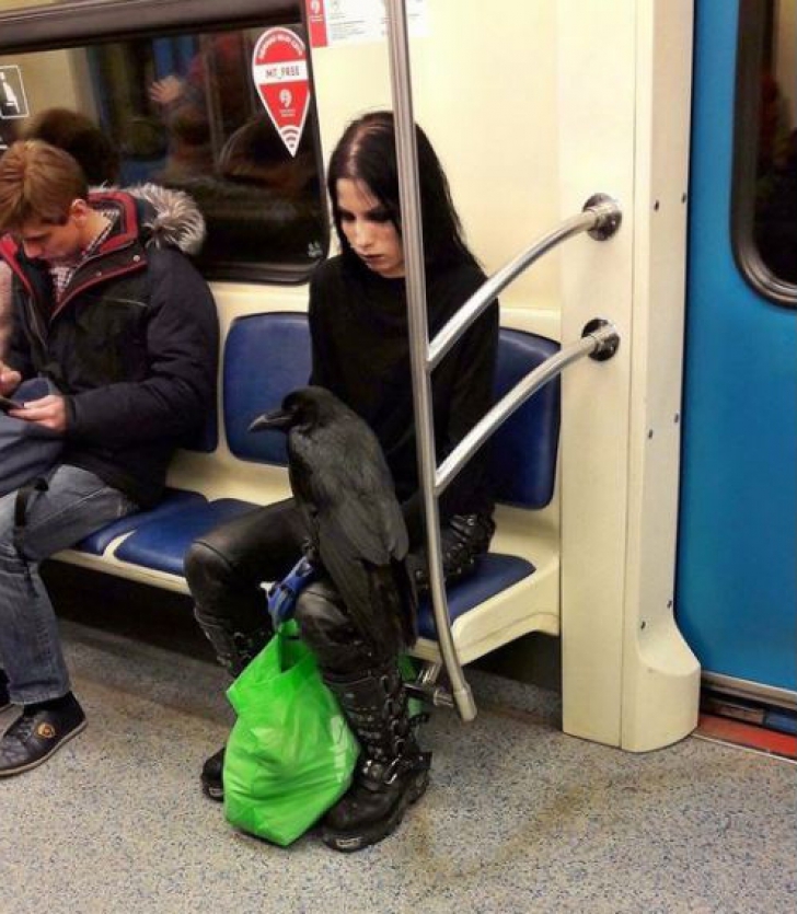Călătorii, șocați. Cu ce animal de companie a intrat această femeie în metrou. Toți i-au făcut loc