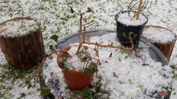 ALERTĂ METEO de ultimă oră: COD GALBEN de furtuni şi grindină