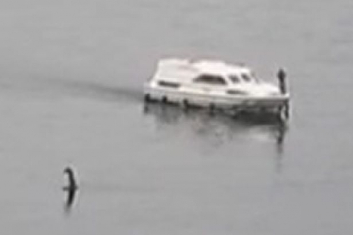 Monstrul din Loch Ness a fost văzut din nou. Cea mai clară fotografie. Cum arată de fapt 