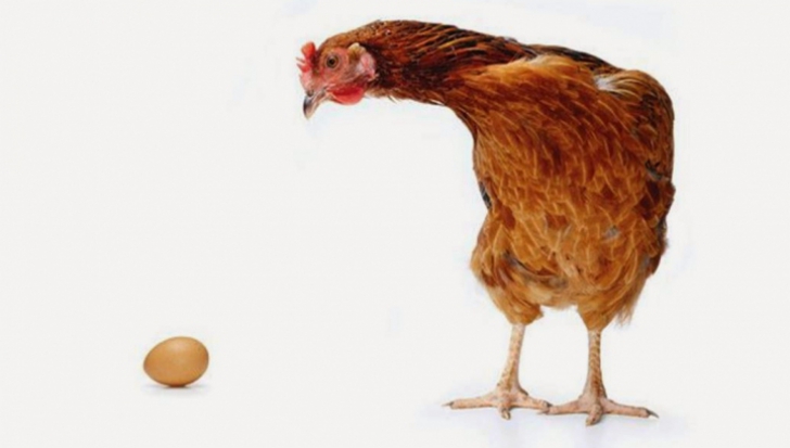 S-a aflat adevărul: Ce a fost mai întâi, oul sau găina?