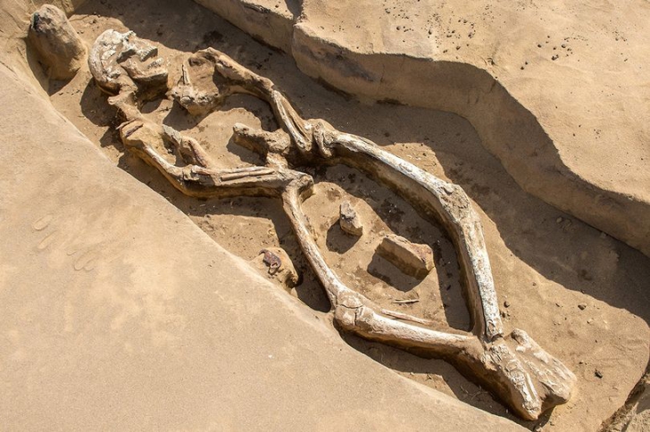 Descoperirea care a uimit omenirea! Cum arată ”SCHELETUL DANSATOR”. Arheologii sunt fascinați