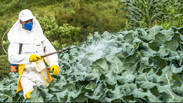 Cum ELIMINI pesticidele din alimentaţia ta