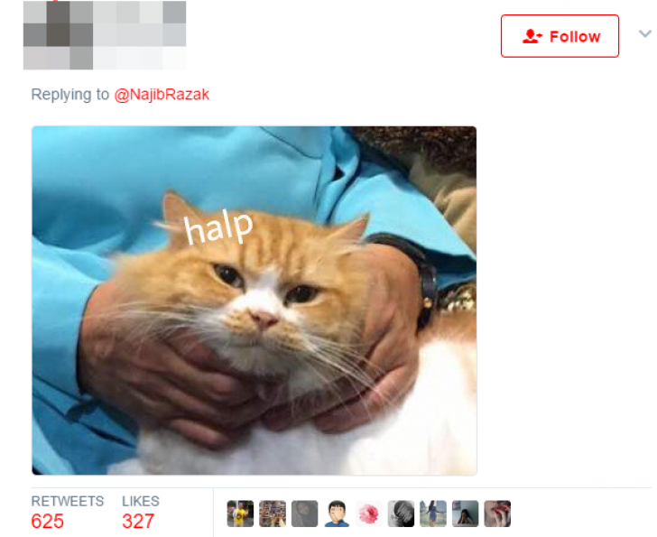 Premierul unei ţări s-a fotografiat cu pisica sa. Expresia pisicii a făcut imaginea VIRALĂ