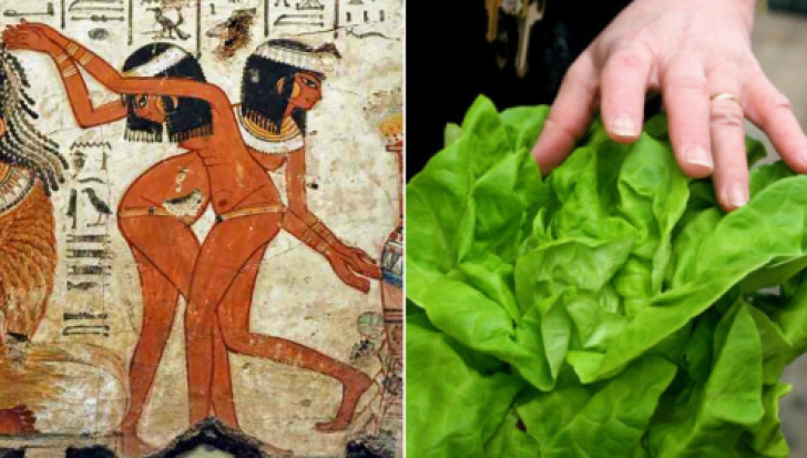 Legătura şocantă dintre salata verde şi sex. Secretul egiptenilor