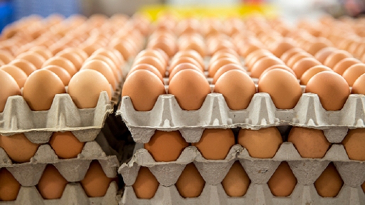 Le cumpărăm zilnic, dar nu știm cât de folositoare pot fi. Ce mai putem face cu cartoanele de ouă