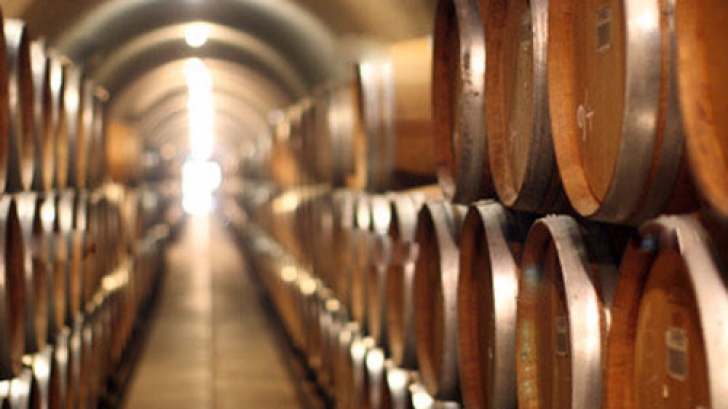 Rusia ridică parțial embargoul impus vinurilor moldovenești în timpul vizitei lui Dodon la Moscova