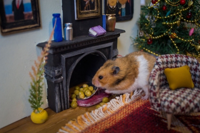 Acestea este unul dintre cele mai mici orașe din lume! Nu o să-ți vină să crezi cine locuiește aici