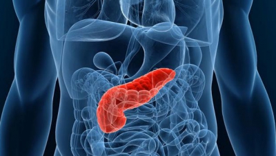 Remedii naturale pentru protejarea pancreasului 