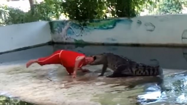 Crocodilul din Thailanda