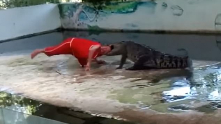 Imagini şocante! Îngrijitorul unei grădini zoologice este muşcat de cap de un crocodil