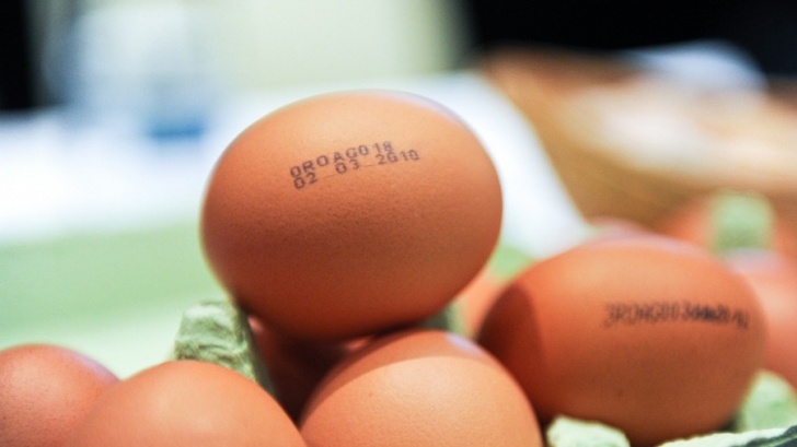 Mare atenţie la ouăle din comerţ! Iată ce înseamnă cifrele imprimate pe coajă