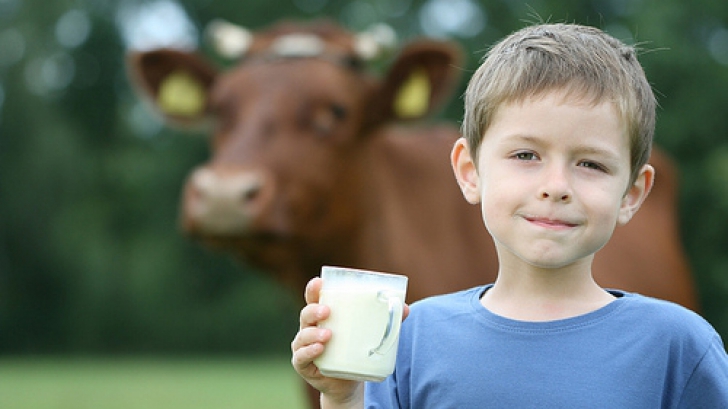La ce pericol sunt expuşi copiii care nu consumă lactate de vacă