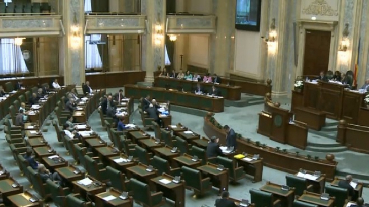 Senat: Proiectul pentru abilitarea Guvernului de a emite ordonanțe în vacanța parlamentară, adoptat