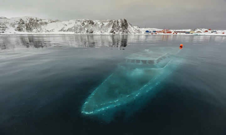 Ce au găsit exploratorii sub apa îngheţată din Antarctica e HORROR! Era acolo de zeci de ani