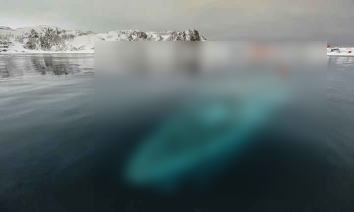 Ce au găsit exploratorii sub apa îngheţată din Antarctica este de groază! Era acolo de zeci de ani